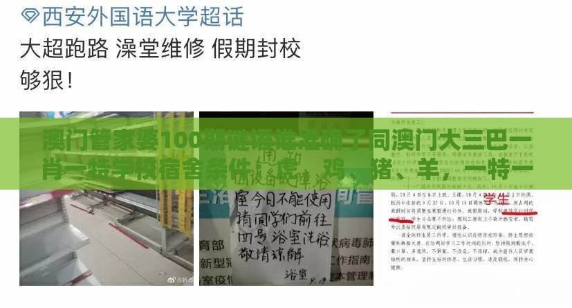 澳门管家婆100期谜语谁准确了同澳门大三巴一肖一特学校宿舍条件：虎、鸡、猪、羊，一特一码下一期预测渠道解答、专家解读解释与落实-提防虚假造势