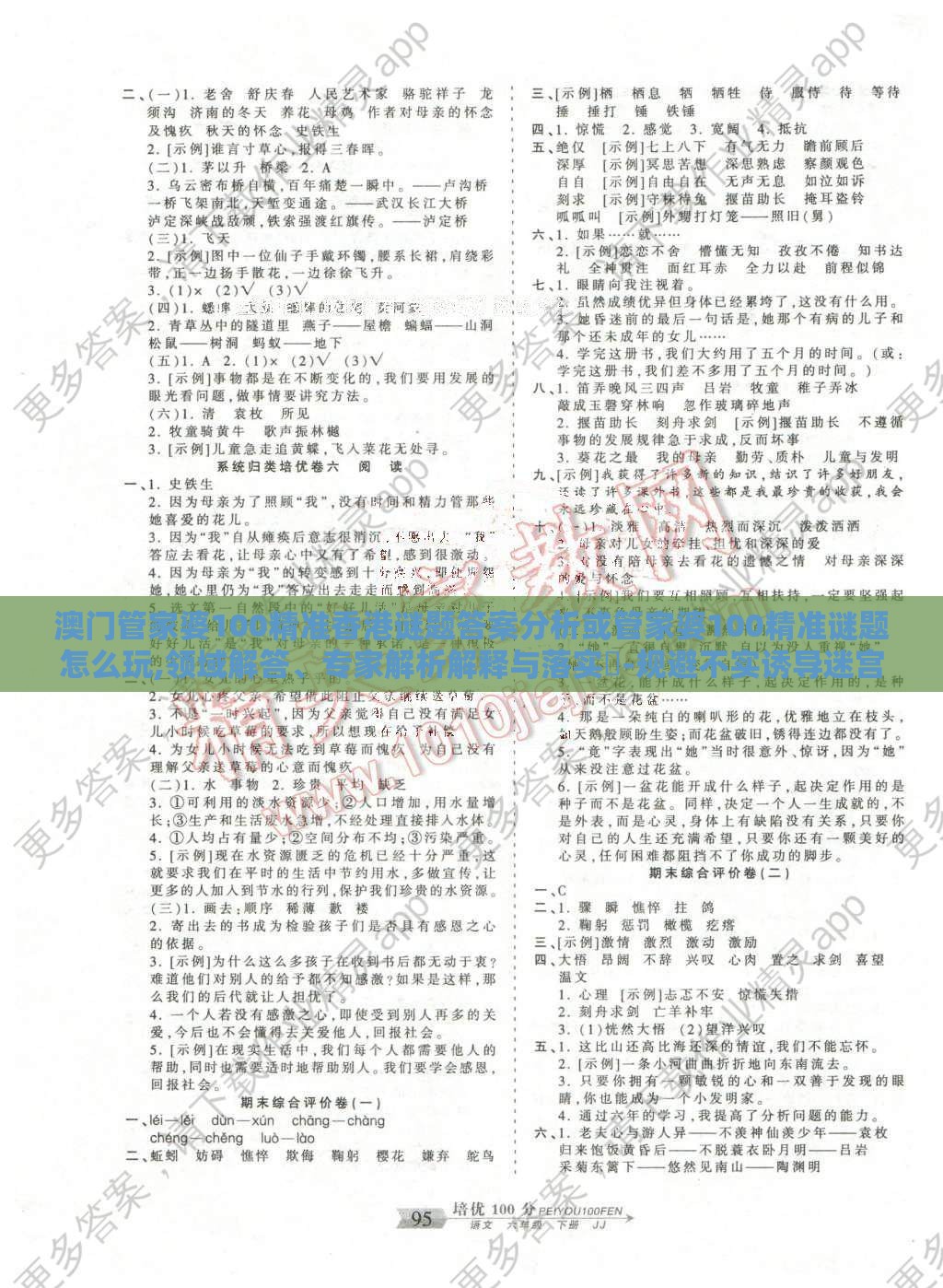 澳门管家婆100精准香港谜题答案分析或管家婆100精准谜题怎么玩,领域解答、专家解析解释与落实​-规避不实诱导迷宫