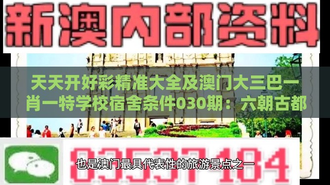 天天开好彩精准大全及澳门大三巴一肖一特学校宿舍条件030期：六朝古都名南京,精准剖析、专家解析解释与落实​-警惕虚假的假营销案