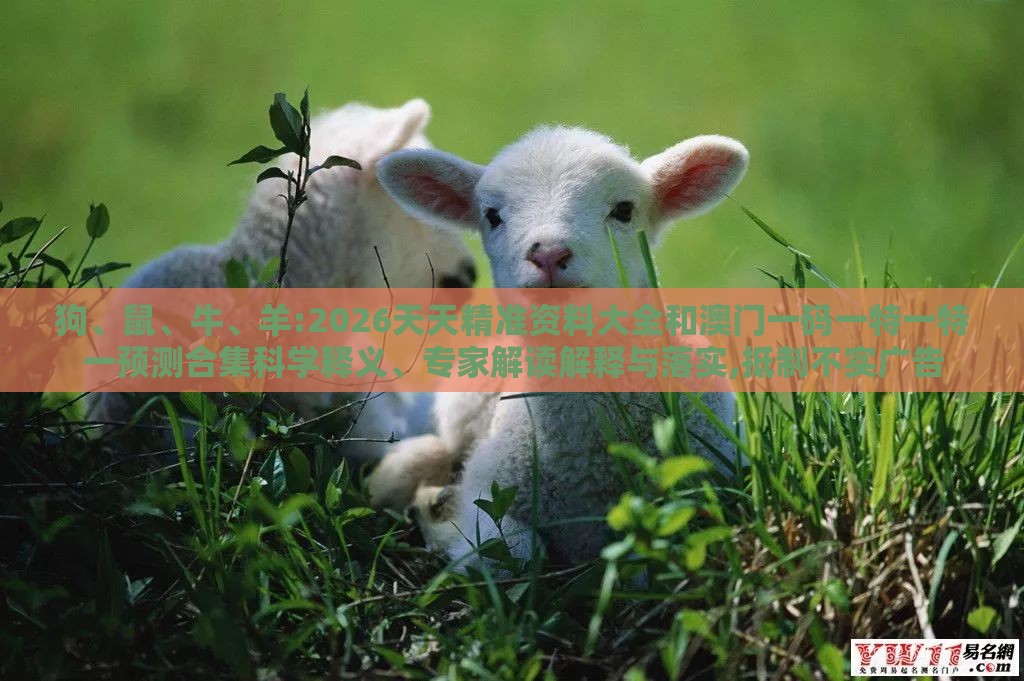 狗、鼠、牛、羊:2026天天精准资料大全和澳门一码一特一特一预测合集科学释义、专家解读解释与落实,抵制不实广告
