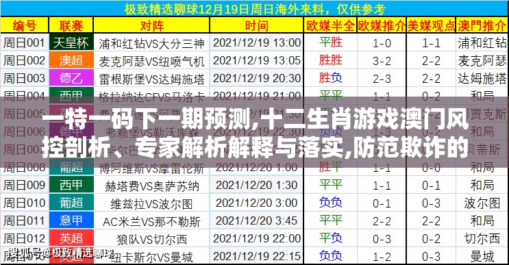 一特一码下一期预测,十二生肖游戏澳门风控剖析、专家解析解释与落实,防范欺诈的假推销词